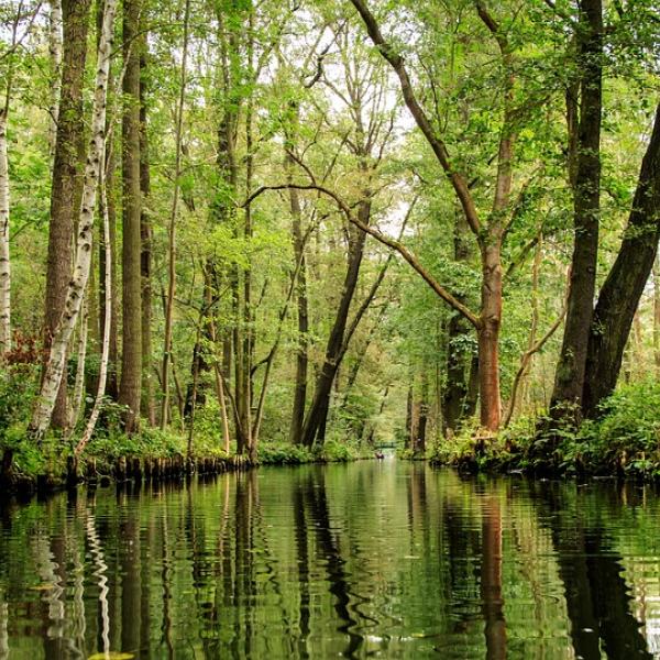 Unesco, il 3 novembre sarà la Giornata Internazionale delle Riserve della Biosfera