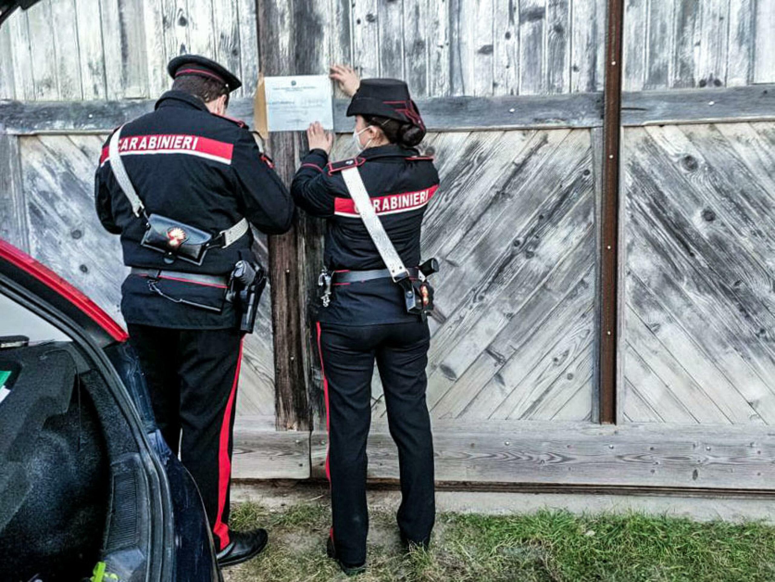 Roma, pony maltrattato e abbandonato ad Albano Laziale: carabinieri lo salvano