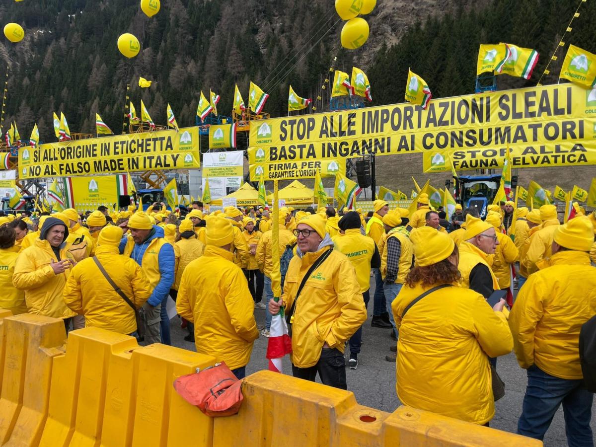 Made in Italy, Coldiretti al Brennero per difendere i prodotti italiani: “Lo facciamo per la salute dei cittadini”. #nofakeitaly e la campagna sui Social