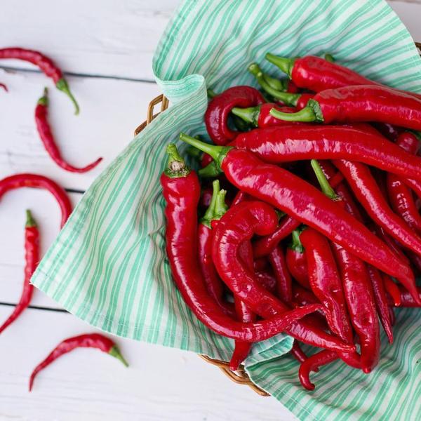 Qual è il peperoncino più piccante al mondo? La classifica