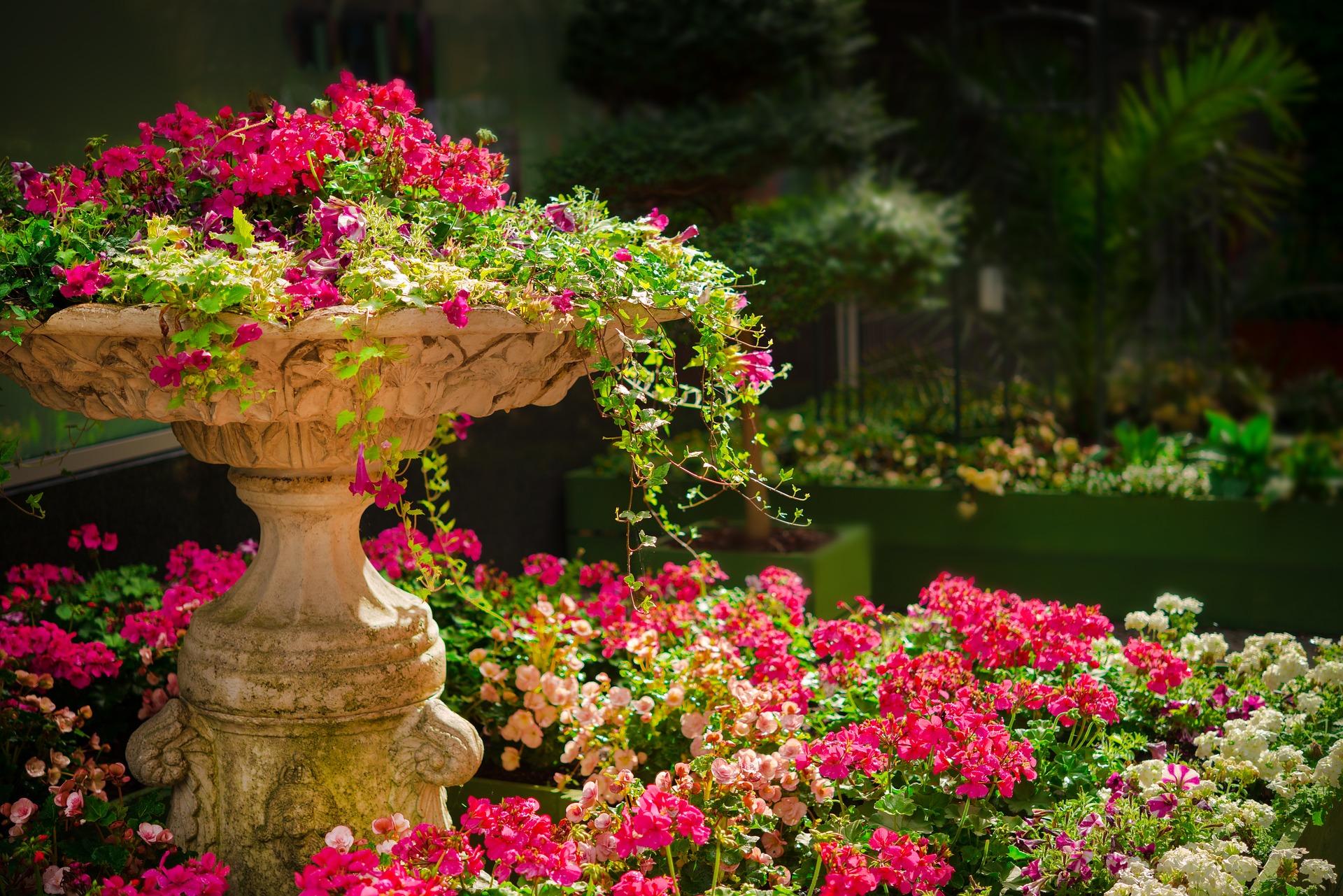 Come pavimentare il giardino senza cemento?