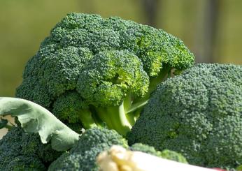 Quali sono i benefici dei broccoli