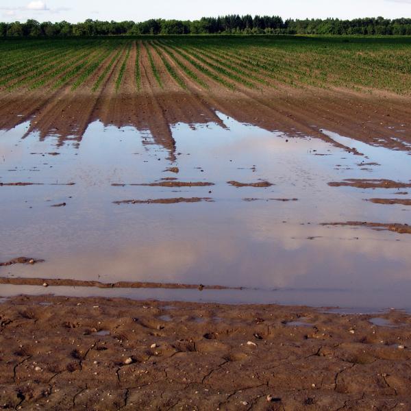 Alluvione in Emilia-Romagna: Cause, Effetti e Rischi Ambientali