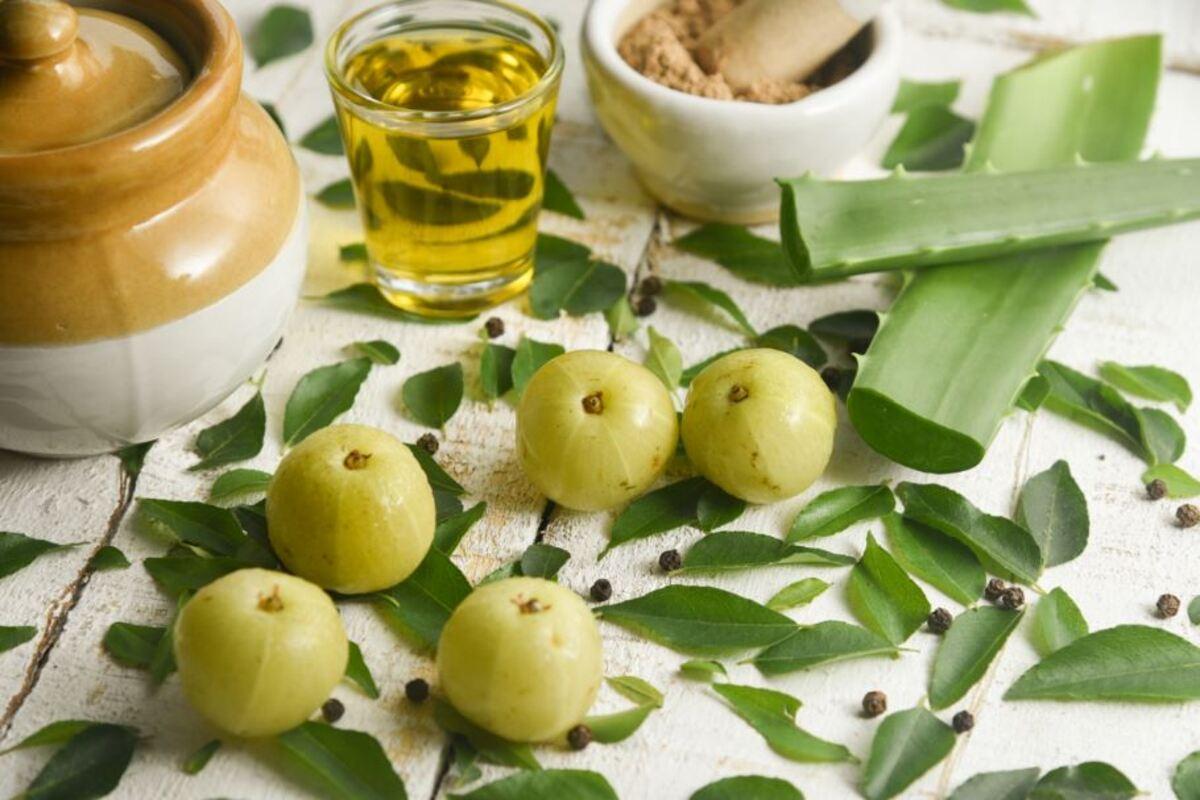 Olio di neem: l’alleato per pelle e capelli