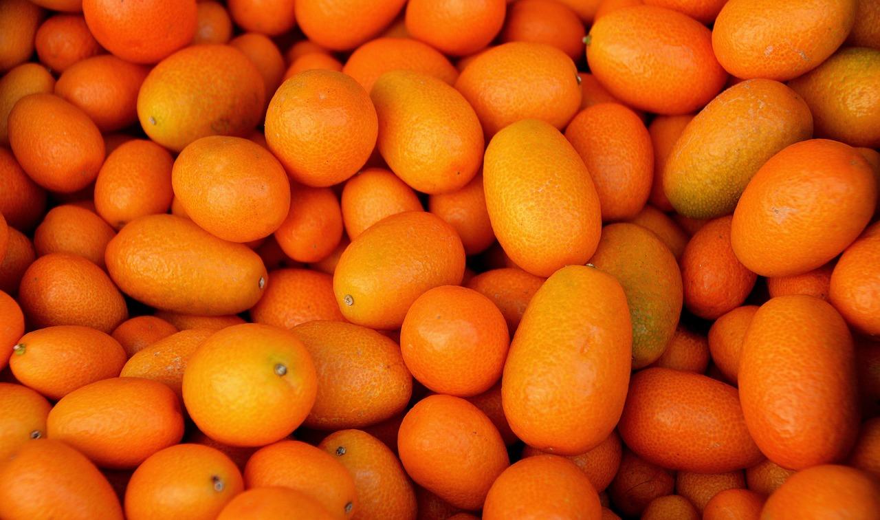 ricette salate con il kumquat