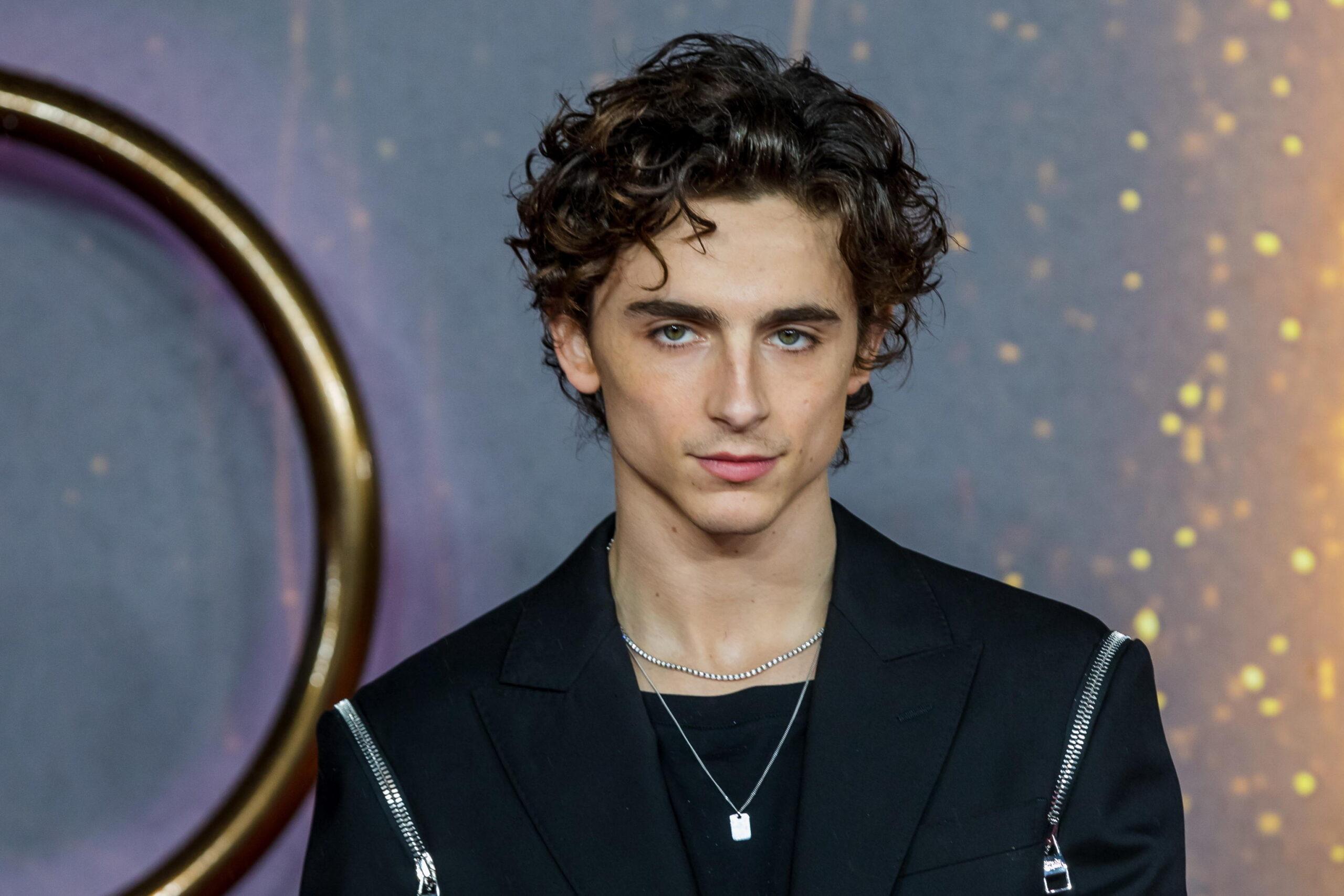 Timothée Chalamet e il body shaming di Hollywood, anche lui fu vittima del bullismo di Tinseltown