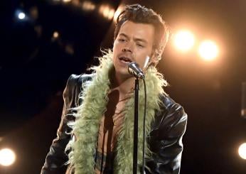 Harry Styles parla italiano a Campovolo, il monologo fa impazzire i fan | VIDEO