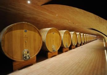 Qual è la cantina più bella del mondo e dove si trova