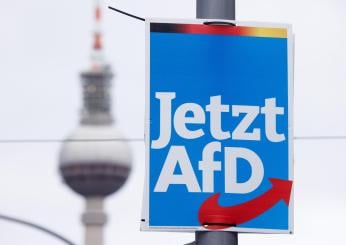 Germania, l’AfD continua a crescere nei sondaggi: la sua carta vincente è la presenza su TikTok