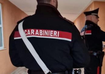 Scappa dopo aver tentato un furto, per nascondersi finisce nella caserma dei Carabineri: arrestato.