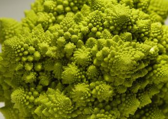 Ecco come cucinare il broccolo romano