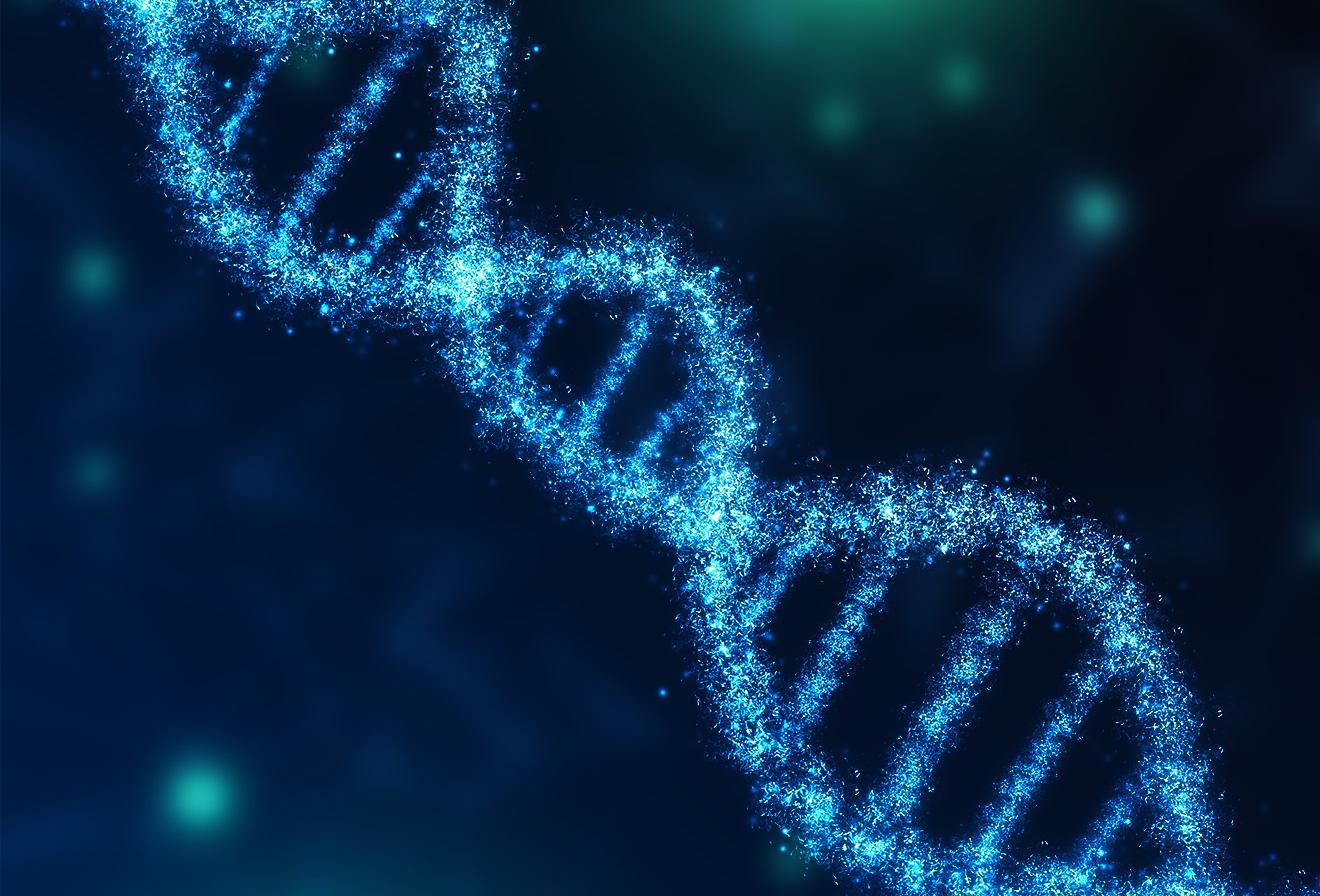 Cosa si scopre con l’analisi del DNA, a cosa serve e quanto costa