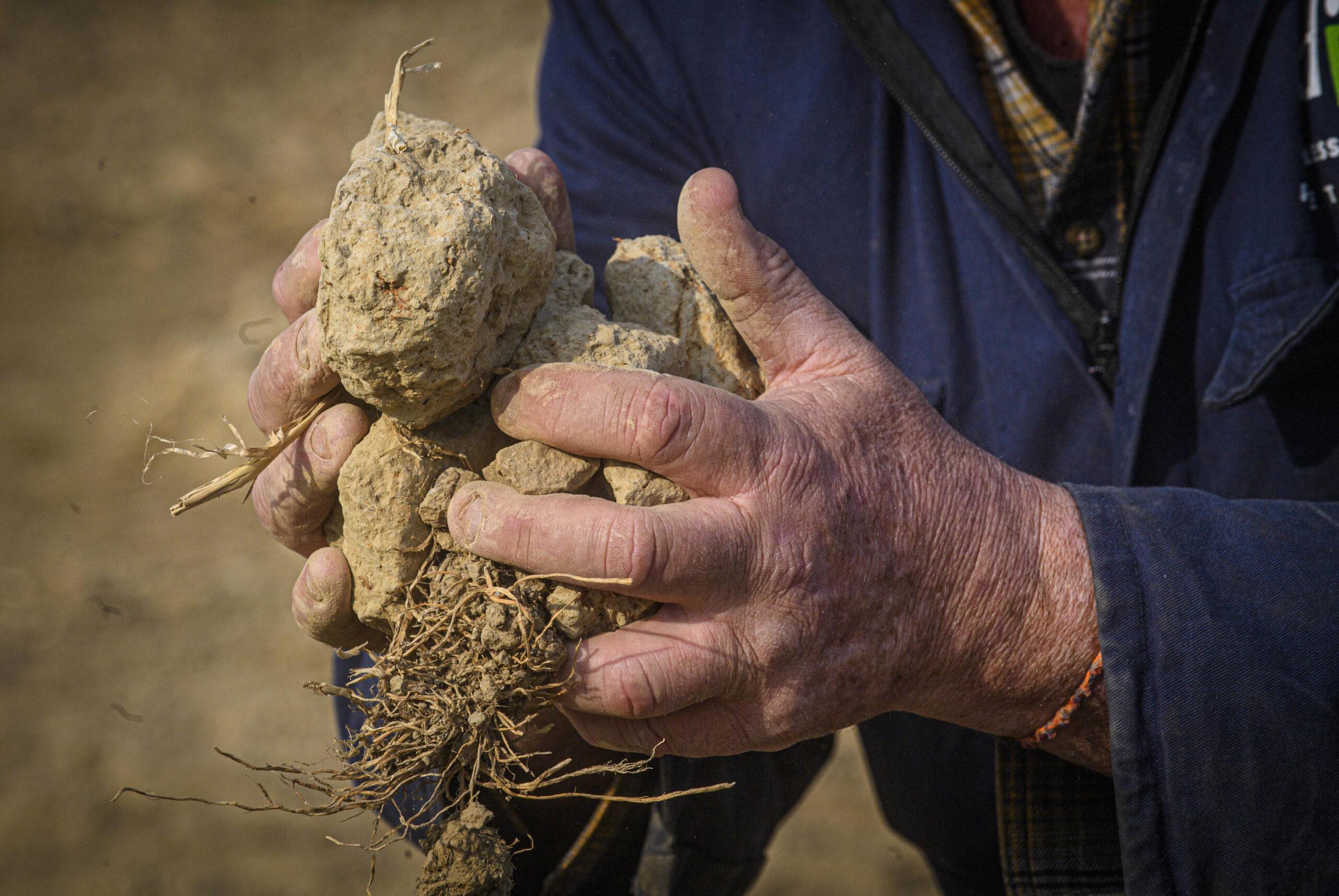 Siccità, l’allarme di Coldiretti: 2023 anno più caldo di sempre in Italia, agricoltura in ginocchio