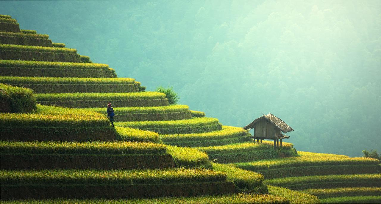 Quando andare a Bali? Il periodo giusto per scoprire l’isola degli Dei