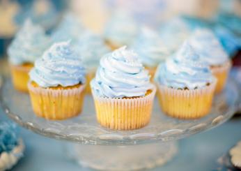 Cupcakes alla vaniglia o al cioccolato? A voi la scelta