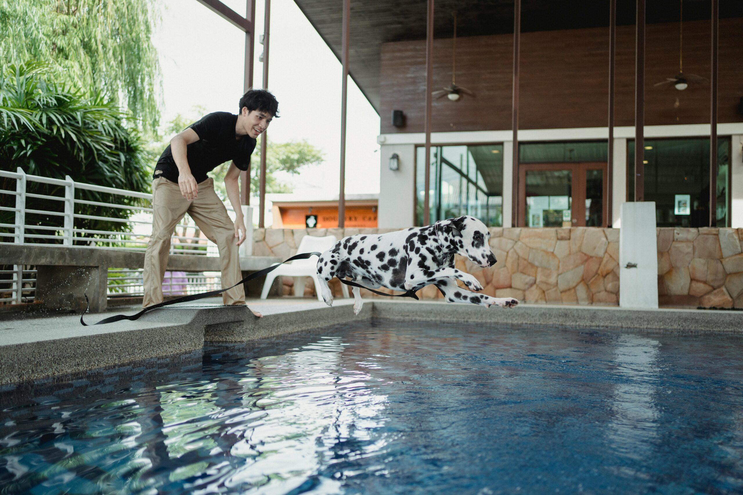 Che cos’è lo Splash Dog? Dove praticarlo con il proprio cane