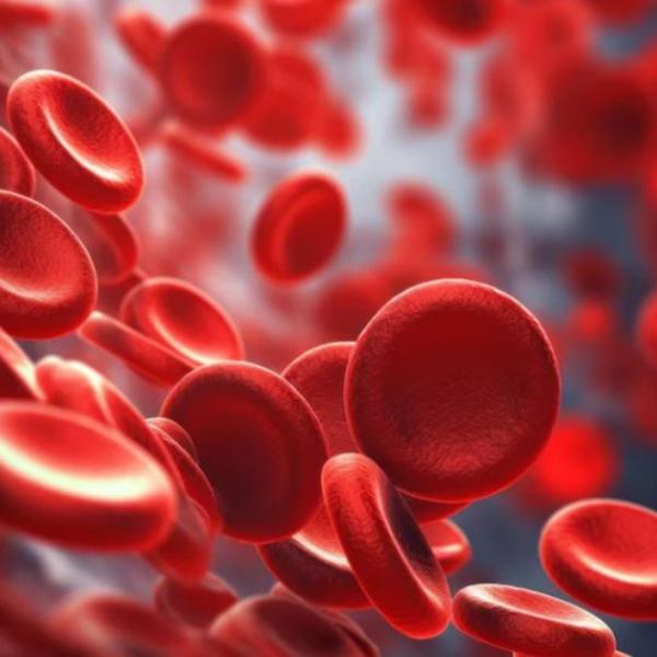 Come migliorare la circolazione del sangue e quale ruolo ha sulla salute