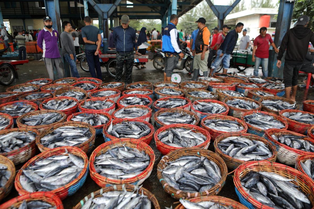 Secondi di pesce, vigilia di Natale: italiani legati alle tradizioni