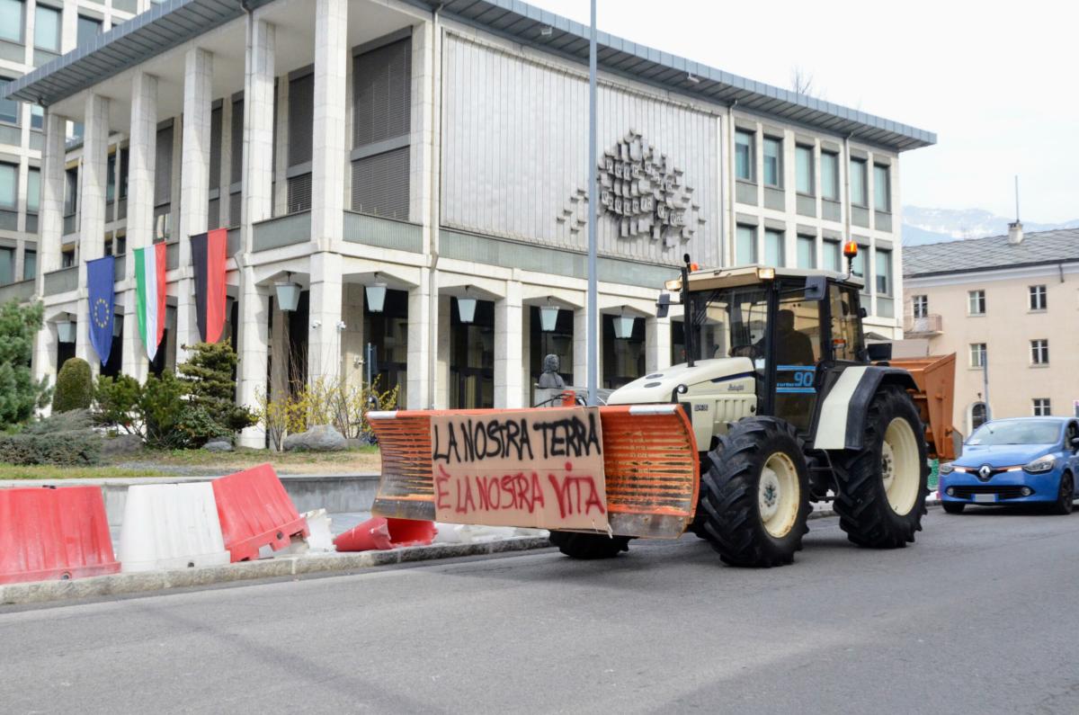 Proteste agricoltori, Foti (FdI): “Governo sempre con loro”, ma Richetti (Azione) critica: “Tornati indietro sul Green Deal”| VIDEO