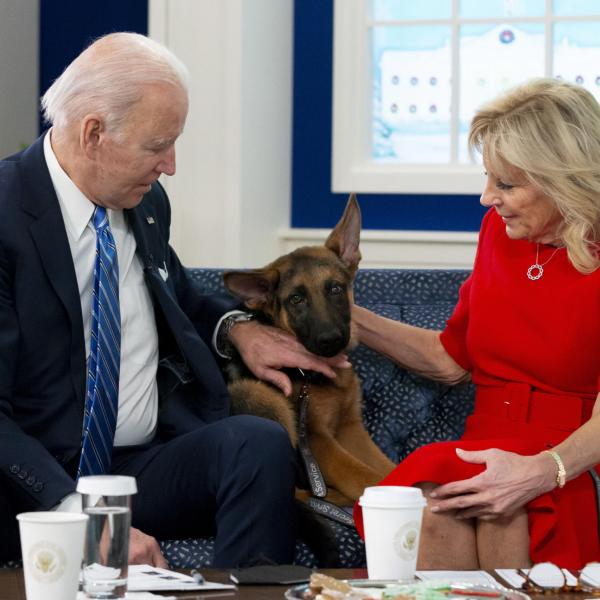 USA, il cane del presidente Biden allontanato dalla Casa Bianca: “Comportamento aggressivo, ha morso diverse persone dello staff”