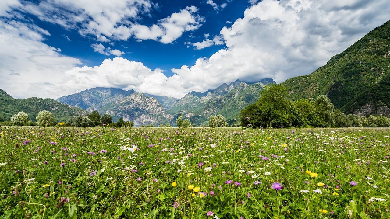 Bisciola: la ricetta originale del dolce della Valtellina