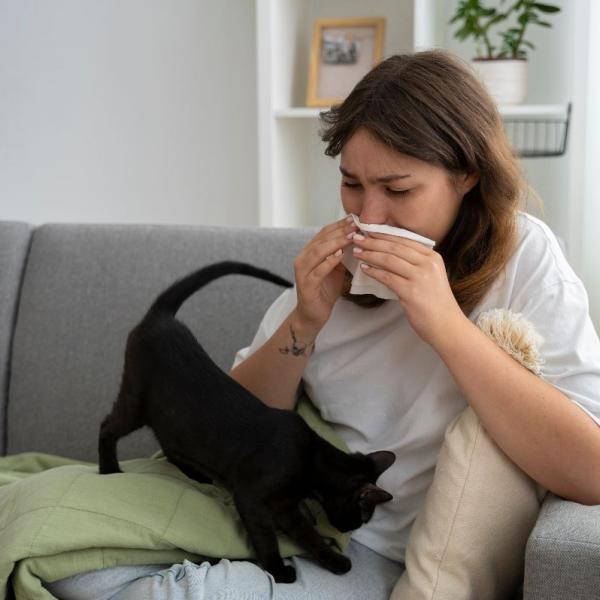 Come capire se sei allergico al pelo degli animali, quali sono i sintomi e cosa fare