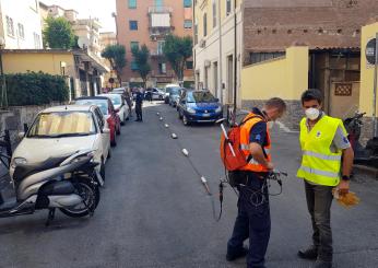 Roma, si apre una voragine sull’asfalto a Monteverde