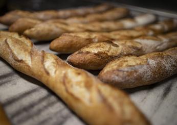 Baguette patrimonio Unesco: “Un’intangibile eredità culturale”