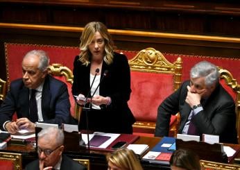 Consiglio Europeo, Meloni al Senato: “Il nostro è il Governo che si è impegnato di più in Agricoltura”