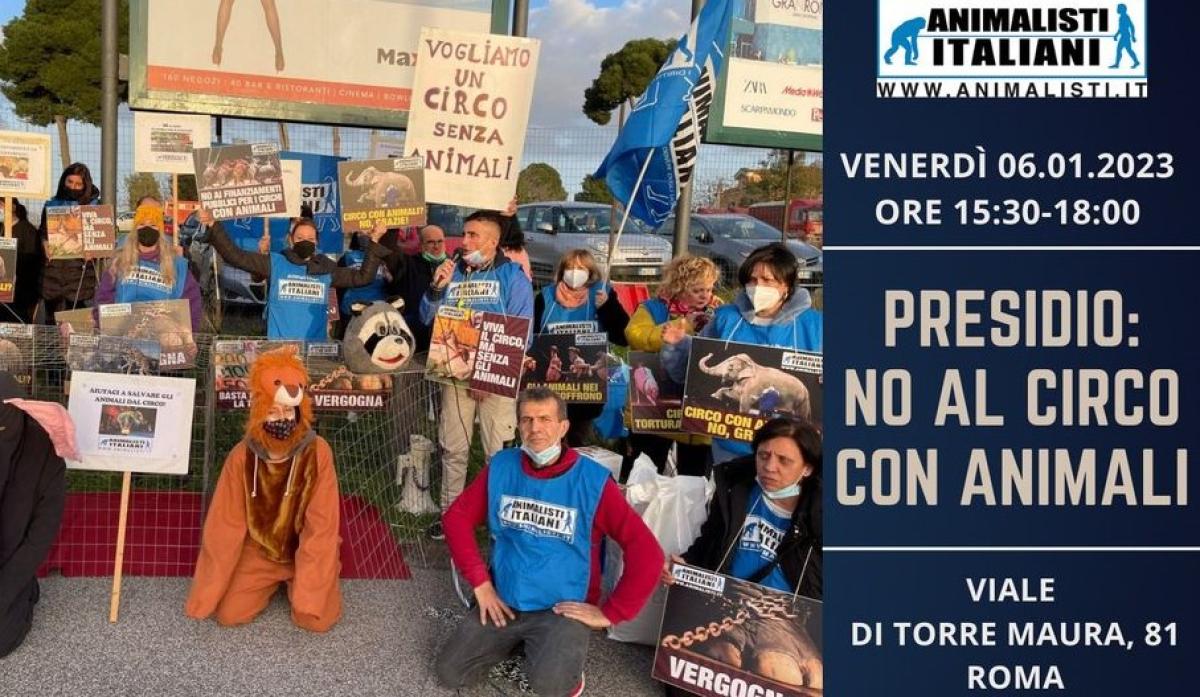 Roma, la Manifestazione di protesta dell’Associazione Animalisti It…