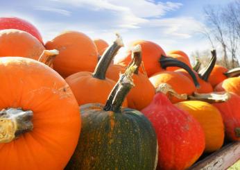 Festa della Zucca di Venzone 2024: date, orari, programma e come arrivare