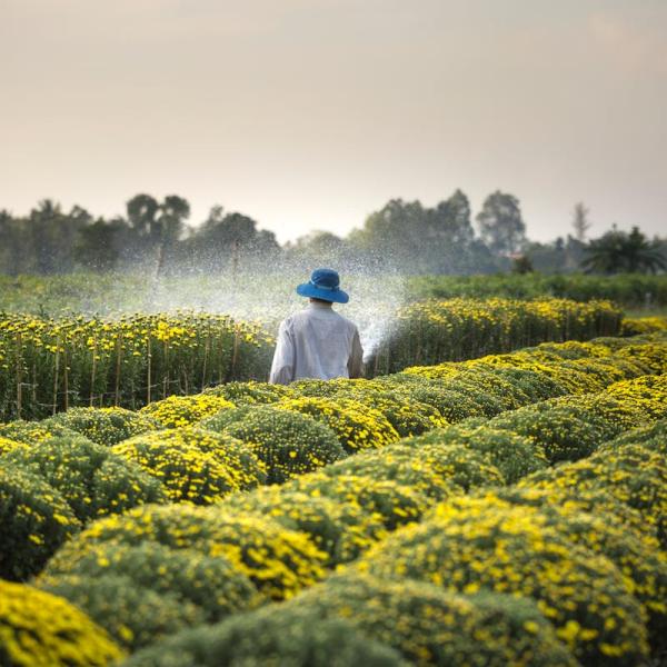 Bonus agricoltura 2024, domande fino al 30 settembre: ecco cosa sapere sull’incentivo per uomini e donne