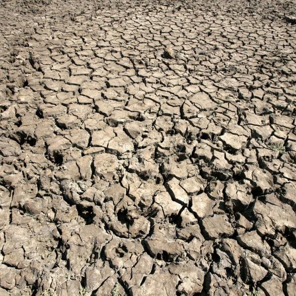 Giornata Mondiale dell’Acqua 2023, Onu: “Risorsa a rischio a causa del consumo eccessivo e sovrasviluppo vampirico”