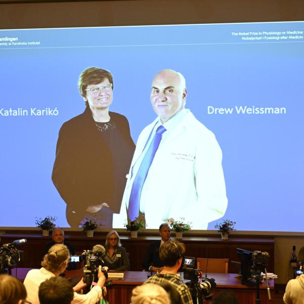 Nobel per la Medicina a Karikó e Weismann, come hanno rivoluzionato la ricerca per arrivare ai vaccini anti-Covid