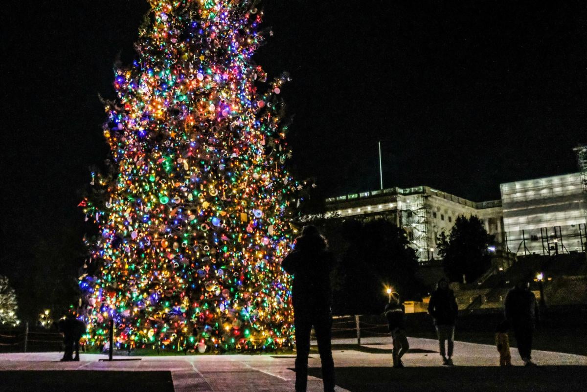 Belgio, viene travolta da un albero di Natale di 20 metri a Oudenaa…