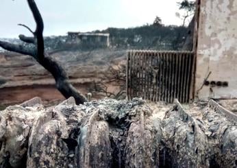 Grecia, allerta per gli incendi boschivi: le fiamme lambiscono Atene, in arrivo aiuti dall’Italia e dall’Ue | VIDEO E FOTO