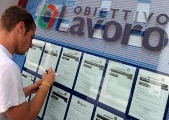 Assunzioni agosto 2024 a quota 315.000, ecco dove si trova lavoro più facilmente