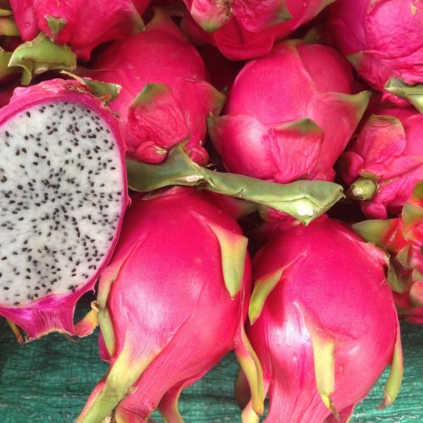 Pitaya: ricette con il frutto del drago