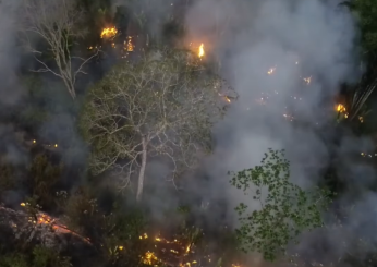 Incendi in Amazzonia, bruciano le foreste del Brasile: allerta anche in diversi Paesi sudamericani | VIDEO