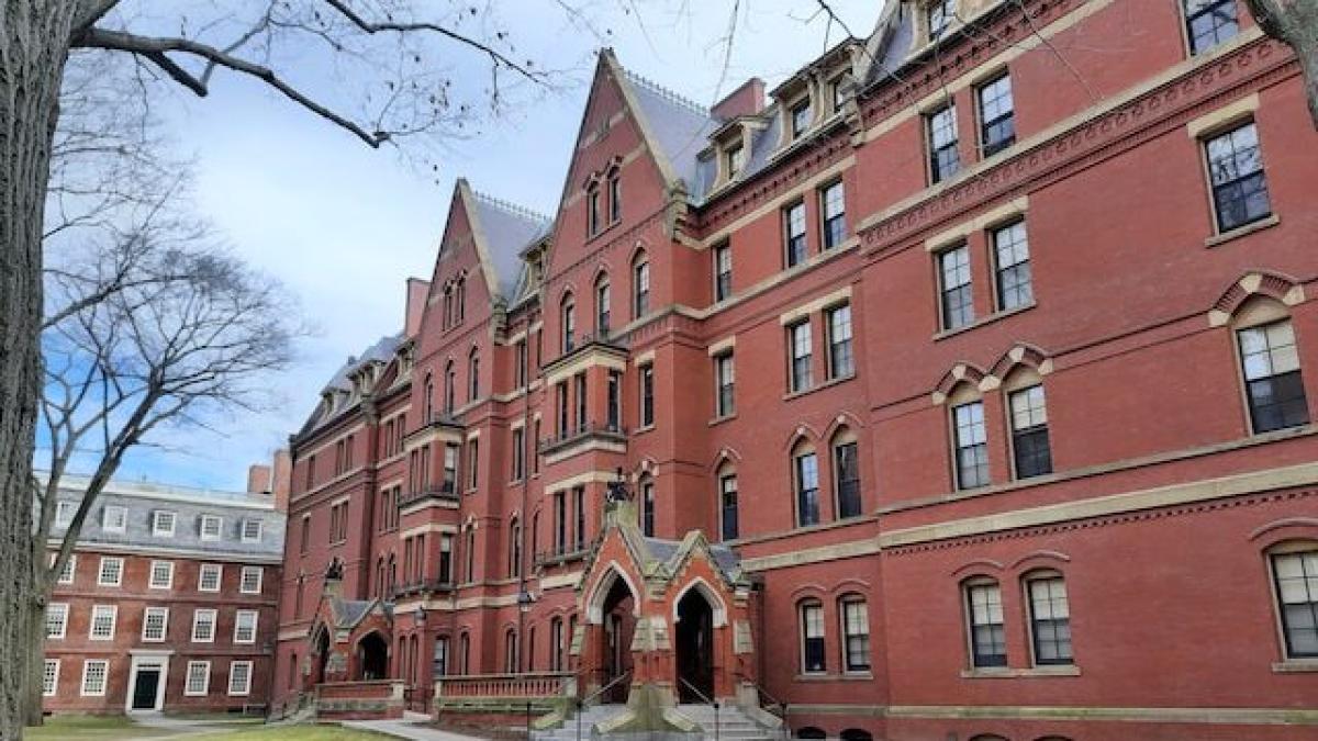 Francesca Gino accusata di frode fa causa ad Harvard: chiede maxi r…