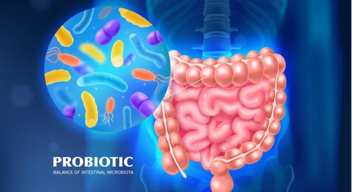 Probiotici, cosa sono e a cosa servono? Qual è la differenza tra fermenti lattici e probiotici? In quali alimenti sono contenuti?