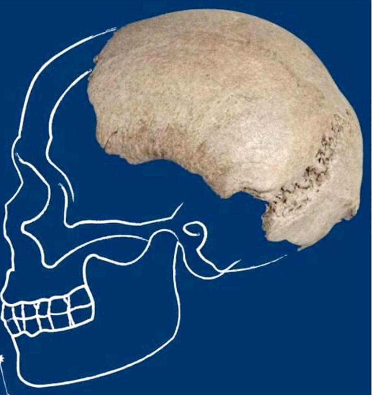 Il Po restituisce il cranio di un homo sapiens: la straordinaria sc…