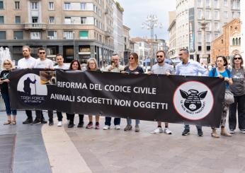 Violenza sugli animali, boom di video di minorenni, Enpa: “Attenzione alla pericolosità sociale”, Oipa: “È reato anche la fake news”