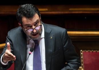 DDL Sicurezza Stradale, Matteo Salvini: “Sospensione patente per chi abbandona gli animali per strada”