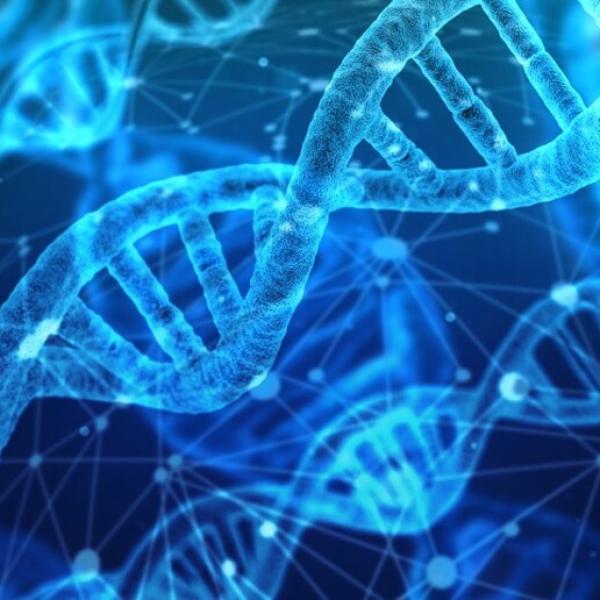 OGM – Organismi geneticamente modificati, cosa sono e come possono essere utilizzati