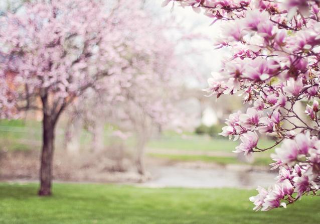 Primavera sonnolenza cause rimedi