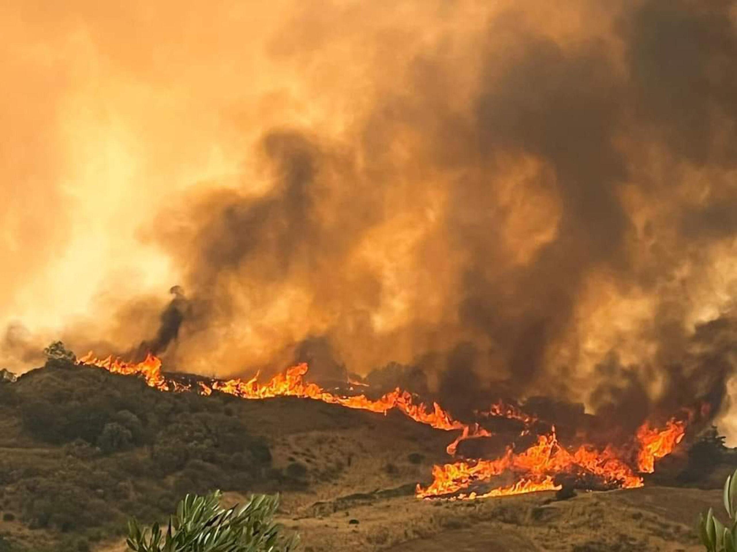 Perugia, incendio in un bosco: 30 ettari bruciati. Previsto presidio notturno dei vigili del fuoco