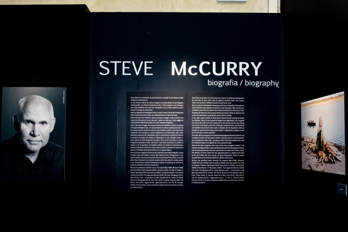 Steve McCurry a Bologna: tutto sulla mostra “Animals” a Palazzo Bel…