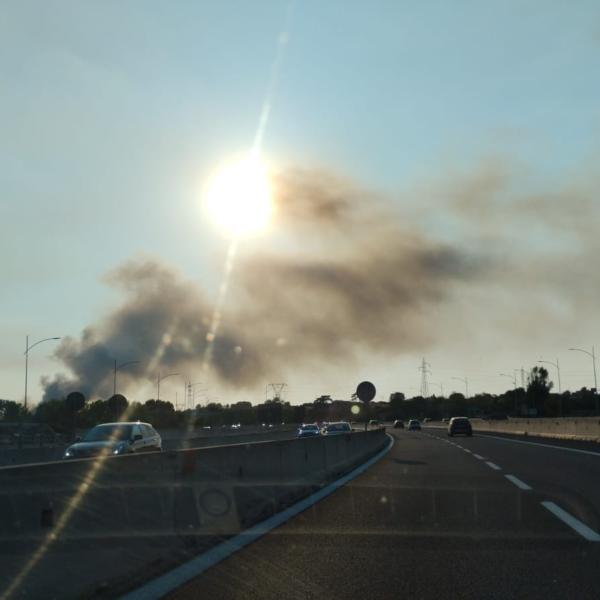 Roma brucia oggi 28 luglio 2024: incendi devastano la capitale da Ponte di Nona a Colli Aniene, colonne di fumo visibili a chilometri | FOTO e VIDEO