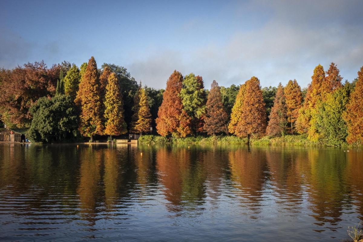 I benefici dell’Autunno sul corpo e sulla mente